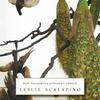 How Phenomena Appear to Unfold by Leslie Scalapino