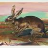 Angela Dufresne
Audubon Cover of Albrecht Durer Bunny
2010
Oil on Panel
14” x 20”
