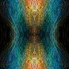Great Chain of Being, photograph (limited edition) size variable, 2006