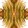 Grail, photograph (limited edition) size variable, 2006